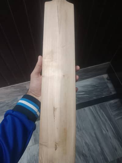 used cricket Bat