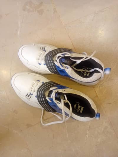 Cricket professional gripper shoes
