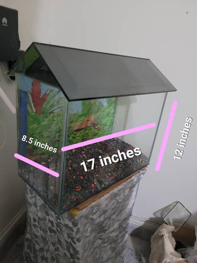 Aquarium without fishes