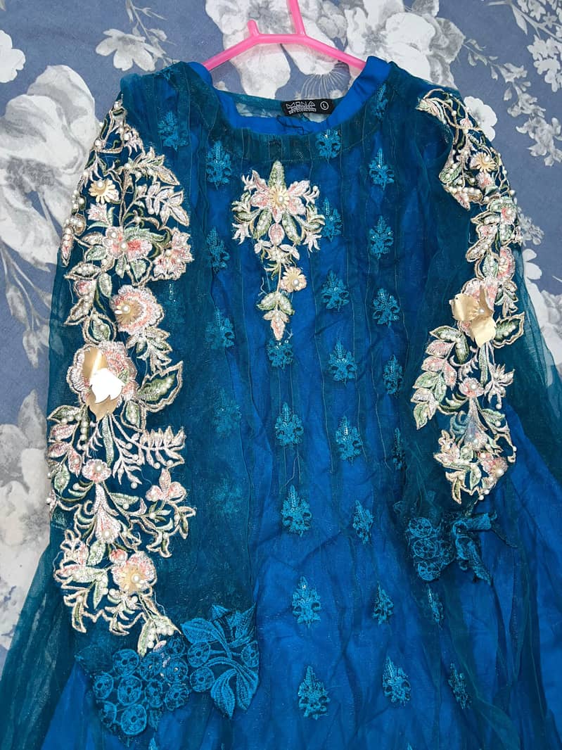 fancy frock 1