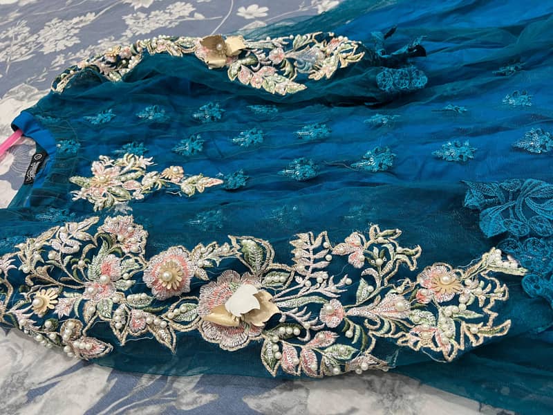 fancy frock 3