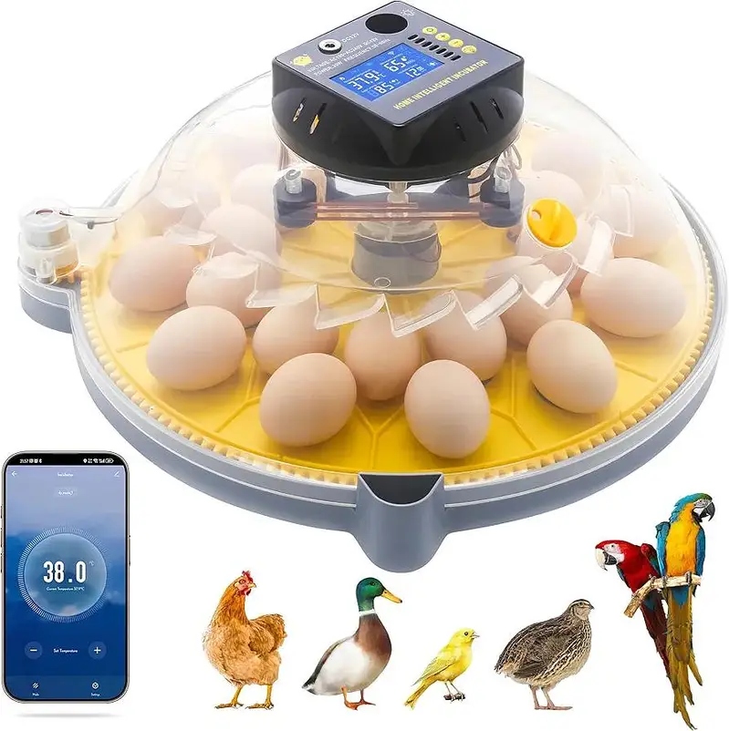 60/30 PARROTS PREMIUM QUALITY FULLY AUTOMATIC AC+DC INCUBATOR — photo 2