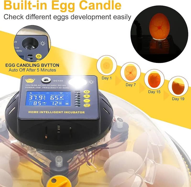 Automatic Egg Incubator | Egg Hatching Machine | Incubator | Brooder 7
