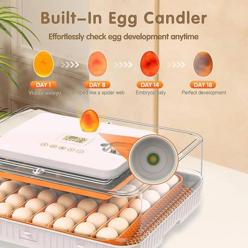 Automatic Egg Incubator | Egg Hatching Machine | Incubator | Brooder 5
