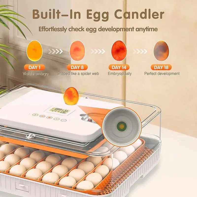 56 Eggs incubator | Hatching machine | automictic incubator | Brooder — photo 6