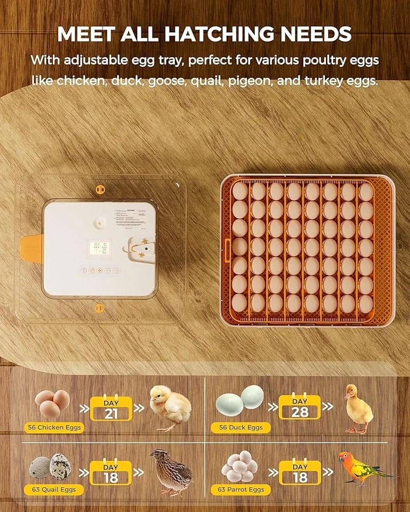 Automatic Egg Incubator | Egg Hatching Machine | Incubator | Brooder 6