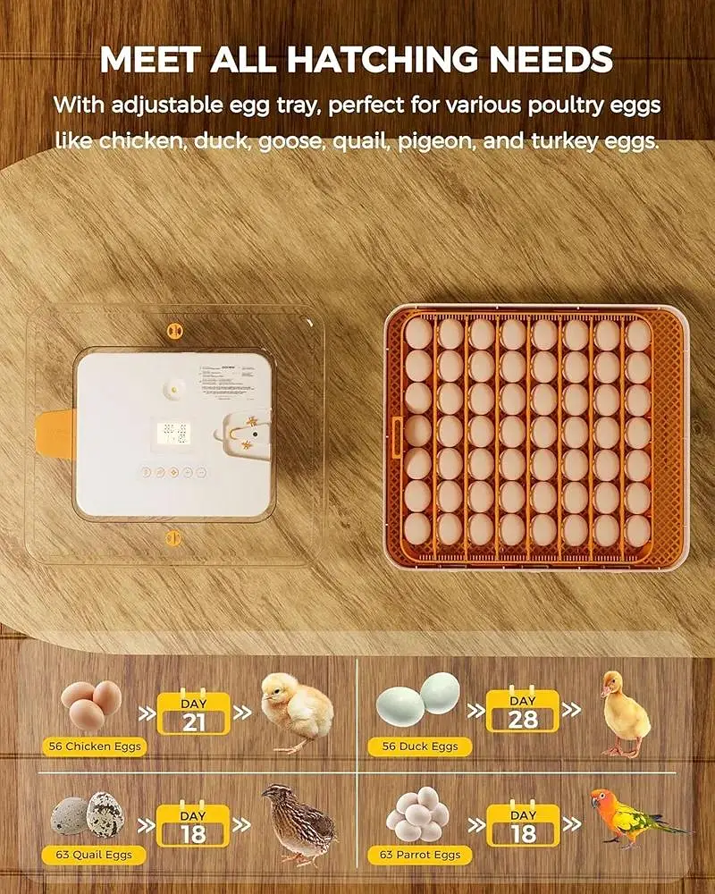 56 Eggs incubator | Hatching machine | automictic incubator | Brooder — photo 7