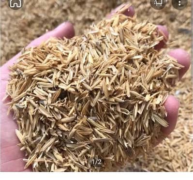 Chawal ka bohsa for hen and chicks