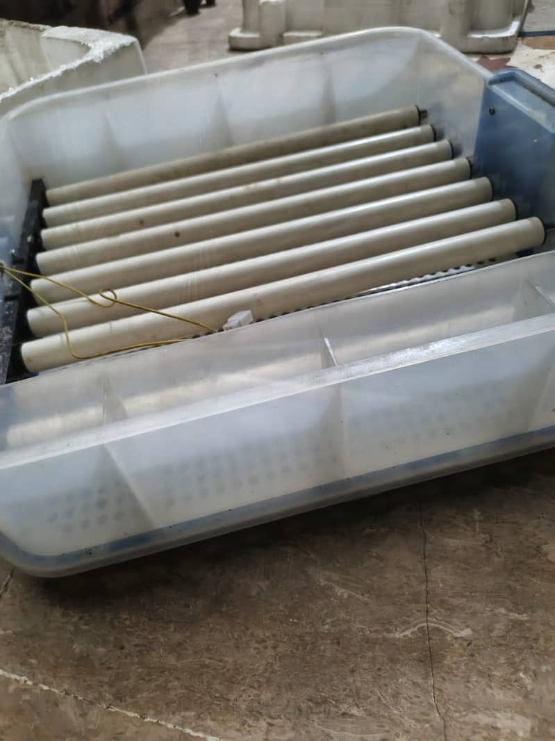 Imported Automatic Incubator 4