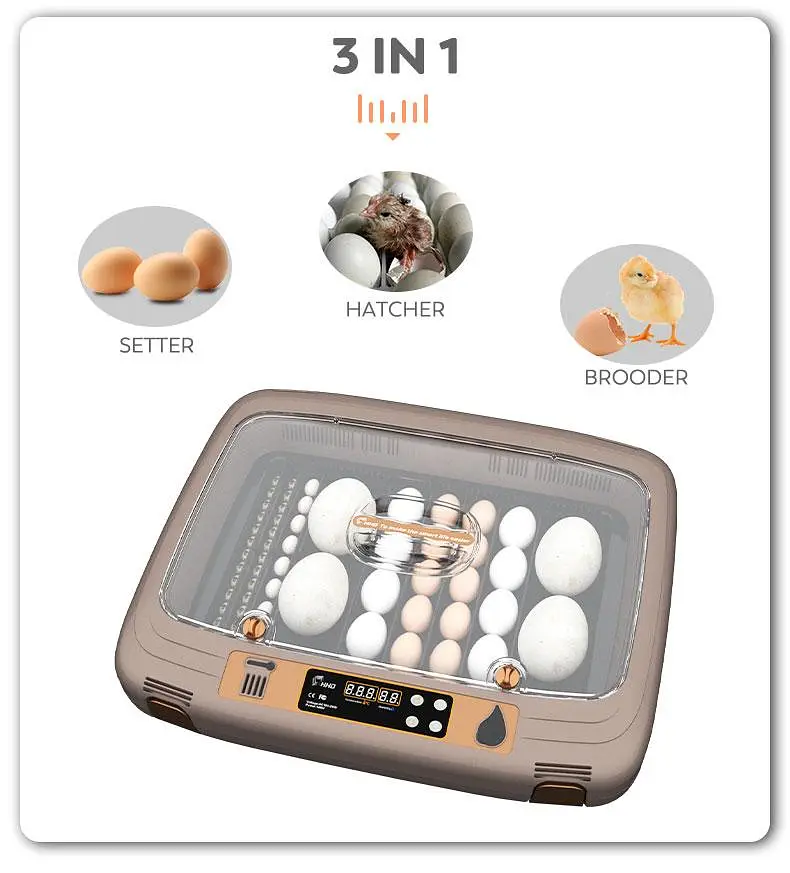 Parrots Eggs incubator | Hatching machine | automictic incubator — photo 2