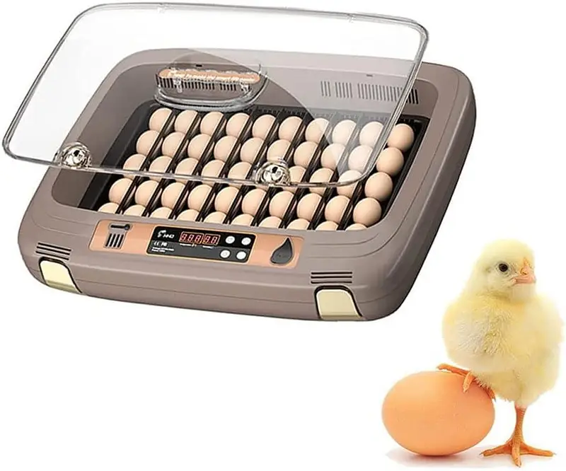 Parrots Eggs incubator | Hatching machine | automictic incubator — photo 6