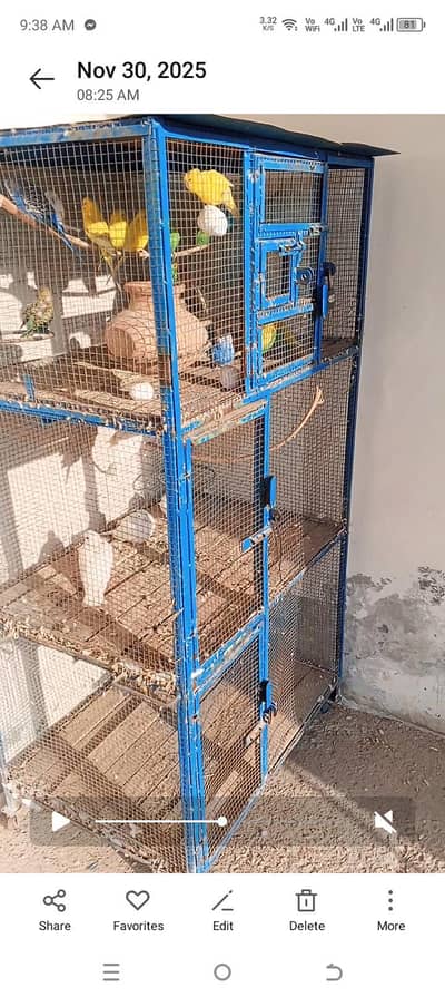 3 portion Tyre Wala mazboot cage