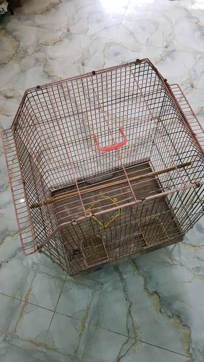 Bird cage