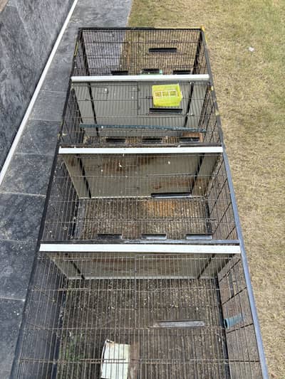 4 storey cage