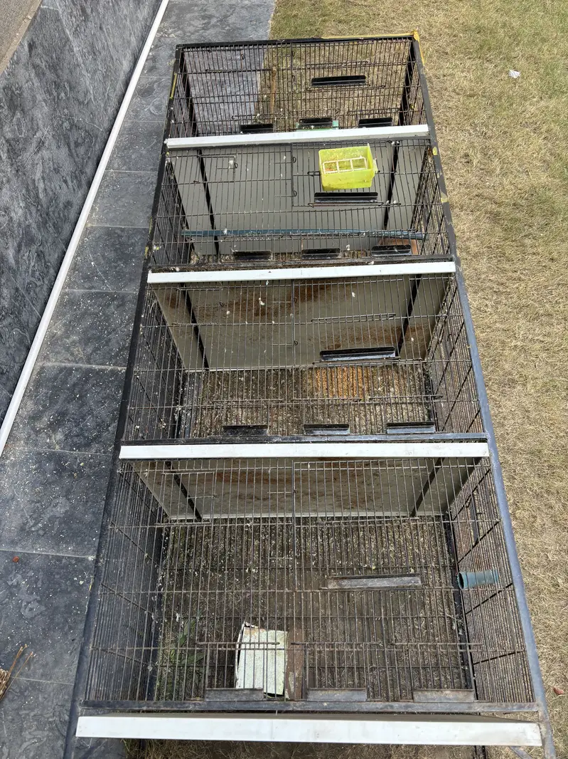 4 storey cage — photo 2