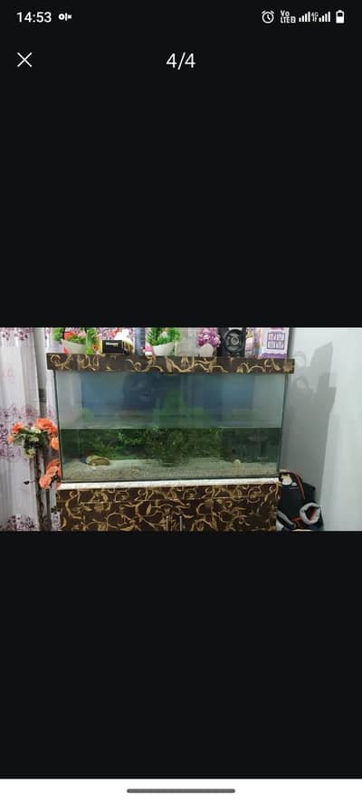 Aquarium glass for sale