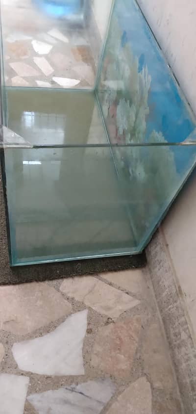 aquarium for sale