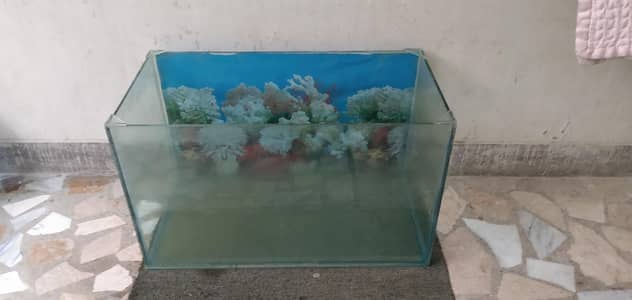 aquarium for sale