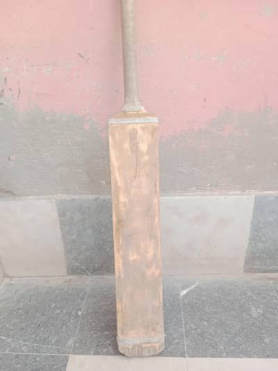 cricket bat