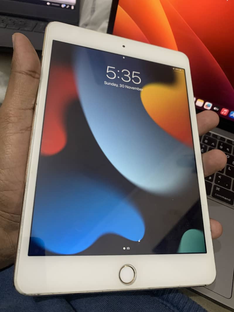 Ipad Mini 4 0