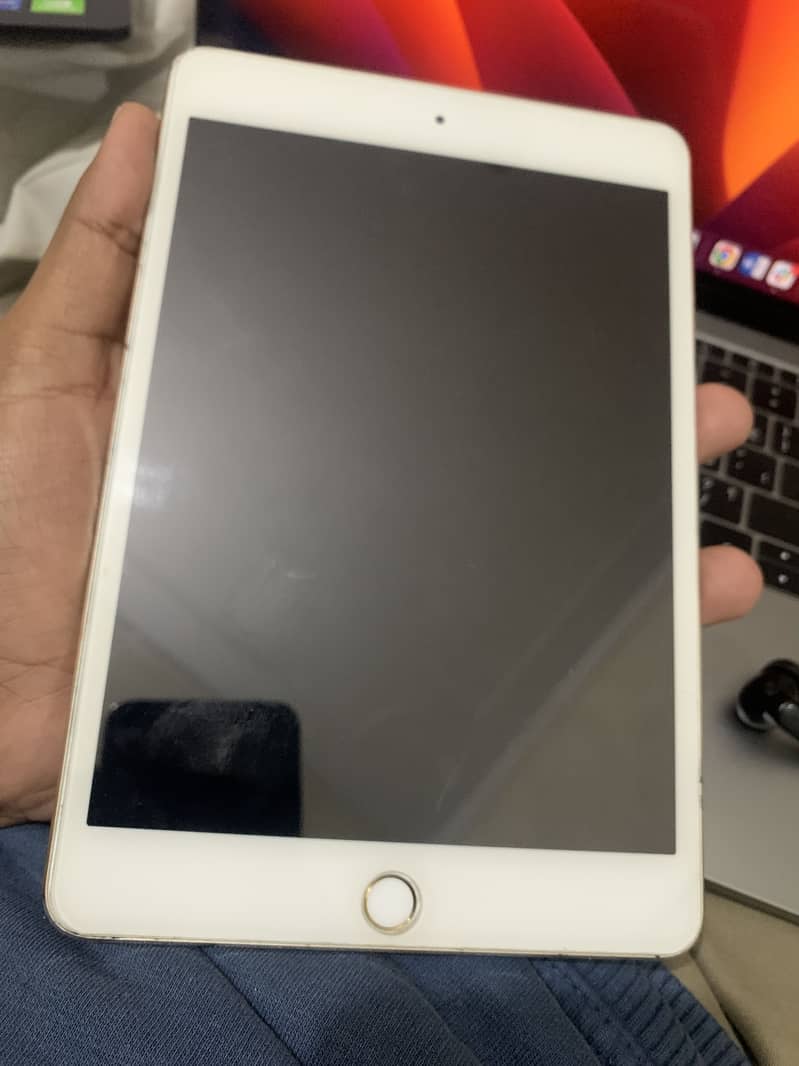 Ipad Mini 4 1