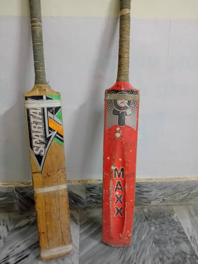Cricket Bat