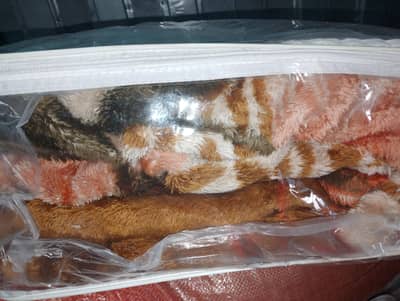 full size warm  and heavy blanket. . . brand new