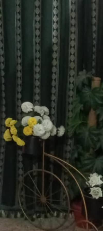 Imported Stuff Beautiful Green curtains