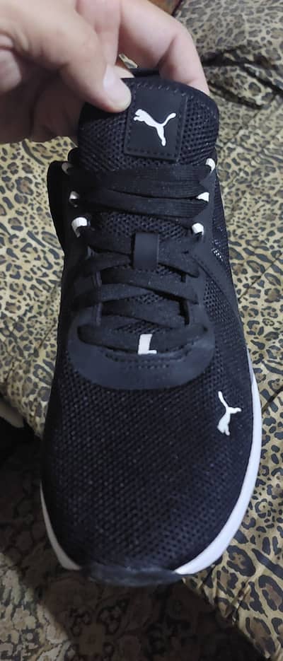 Brand new Puma Shoes for sale.
