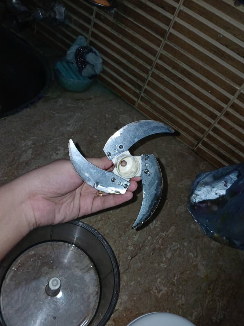 fruit n vegetable chopper 1