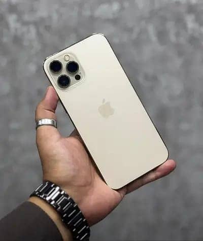 Apple iPhone 12 Pro Max