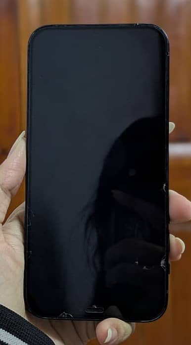 Apple iPhone 12 0