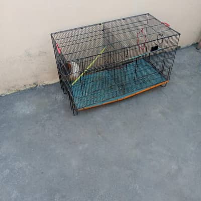 Birds Cages for Sale