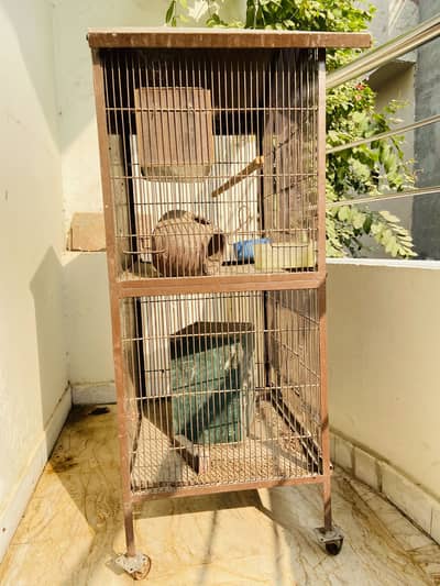 Cage for sale