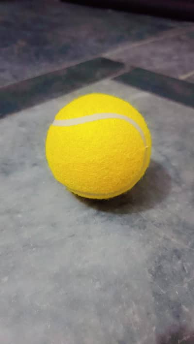 tennis balls for sale