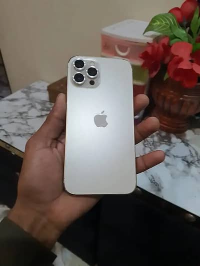 iPhone 12 Pro Max exang pocbal non pta 94