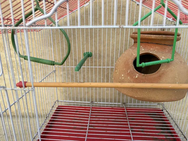 Birds Cage (Small to Medium) (fits 2 - 3 birds) — photo 2