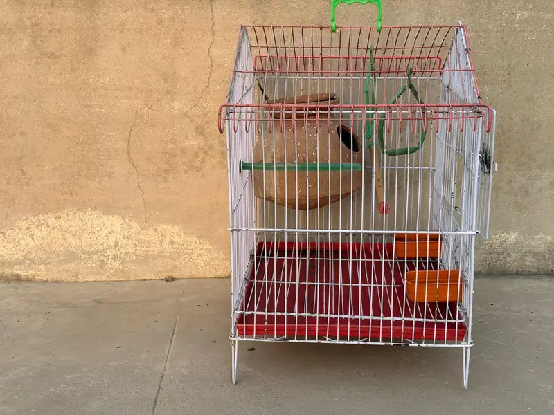 Birds Cage (Small to Medium) (fits 2 - 3 birds) — photo 3