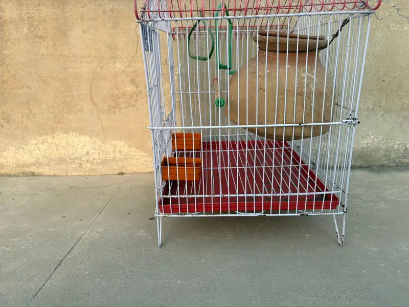 Birds Cage (Small to Medium) (fits 2 - 3 birds) — photo 4
