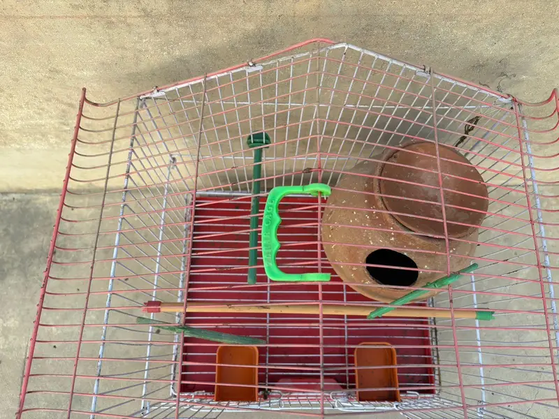 Birds Cage (Small to Medium) (fits 2 - 3 birds) — photo 5