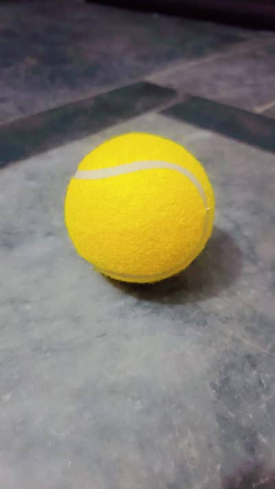 tennis balls for sale
