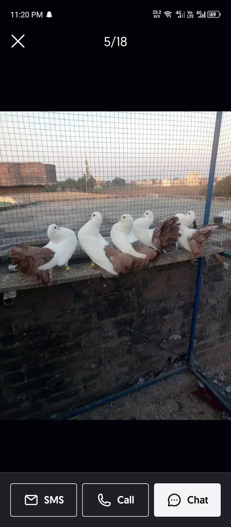 فینسی بریڈر جوڑے  مختلف پرائز میں دستیاب ہیں 15