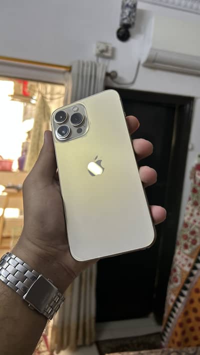 iPhone 13 Pro Max FU