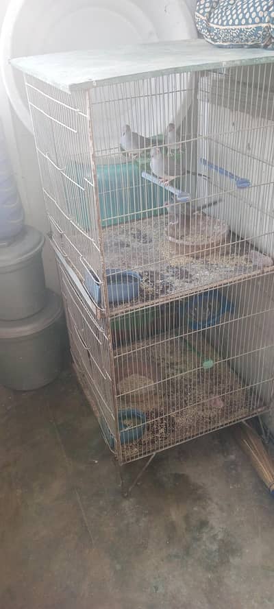 2 portion cage and 1 single cage