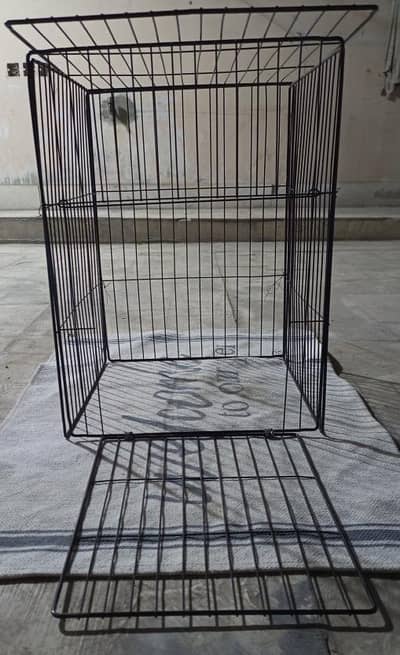 RECONDITION EUROPEAN CAGE