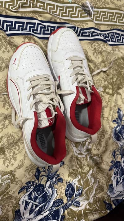 puma cricket gripper  uk8