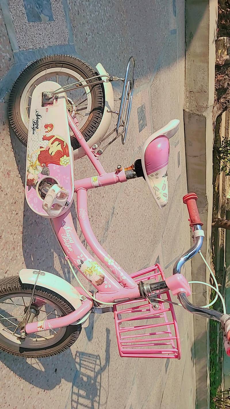 kids cycle 0