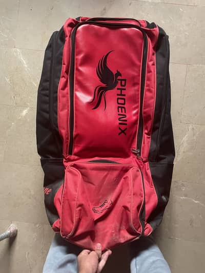 Cricket Professional kit bag and shoes