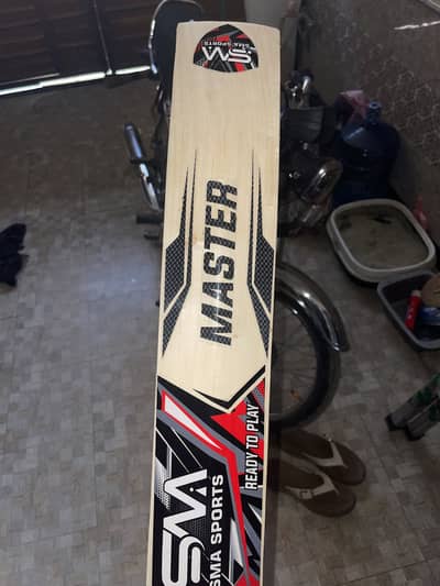 Professional hard ball bat