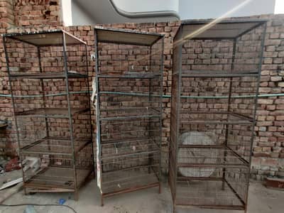 Bird Cage for Pairing, 4 section